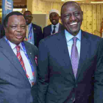 I'm Keen to Create Jobs for Youths, Ruto Tells Diaspora 