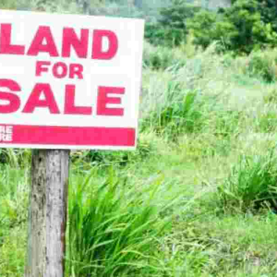Most of the Land Cases Take up to two Years What to Do When the Government Acquires Your Land Compulsorily