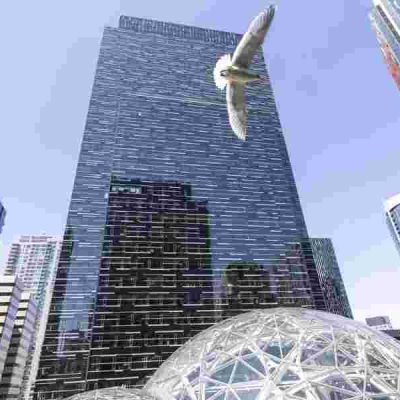 Amazon Pauses Green Card Sponsorship for Foreign Workers in 2024