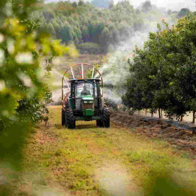 The Visionary Minds Exporting Kenya's Priciest Nuts