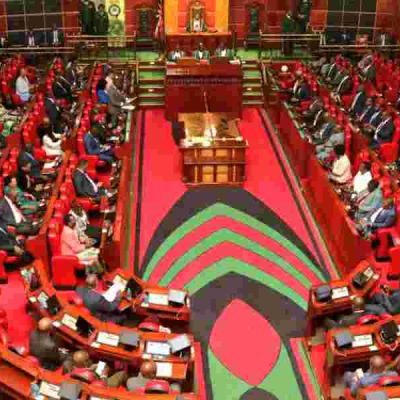 Parliament in Session Kenyans Up in Arms Over Proposed Finance Bill 2024