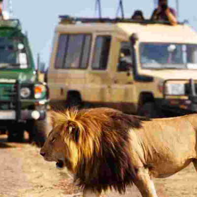 Kenya's Tourism Revenue Soars to All-Time High of Sh352 Billion