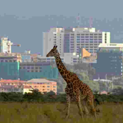 Nairobi City Nairobi Climbs to 4th Place in Africa's High-Rent City Rankings