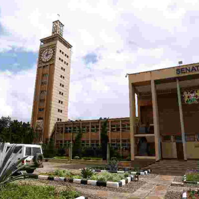 Senate Probes Alleged Negligence at Kenyan Embassy in Saudi Arabia