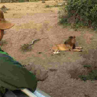How Chinese Tourist Boosts Local Incomes in Maasai Mara