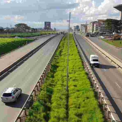 Blood and Billions: The Deadly Fight for Eastlands' Sh54 Billion Property