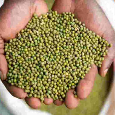 Kenyan MPs Vote Down 'Ndengu Bill' Amid Farmer Backlash