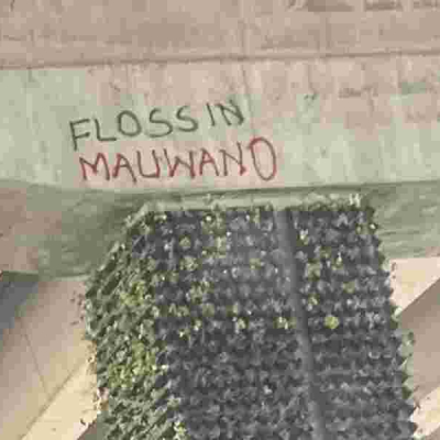 Cult or Crime? Narok Grapples with Wave of Gruesome Murders