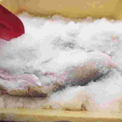 Keep It Cool Offers Refrigerating Solutions Kenyan Company Wins Prestigious Earthshot Prize for Innovative Waste-Reduction Solutions