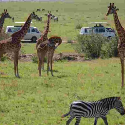 Kenya Aims to Boost Visitor Numbers with US Tourism Campaign