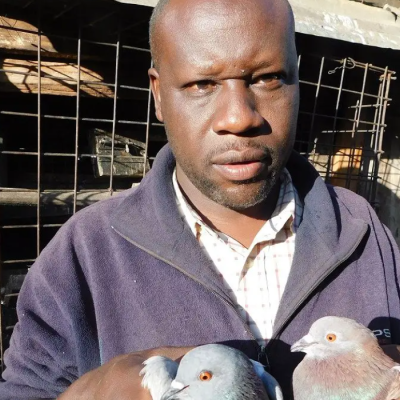 Mahmoud Shaban School Dropout Builds Thriving Pigeon Empire in Kenya, Attracts International Filmmakers
