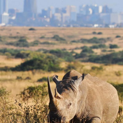 Kenya Tourism Board Awards Eight Photographers in National Contest to Showcase Hidden Attractions
