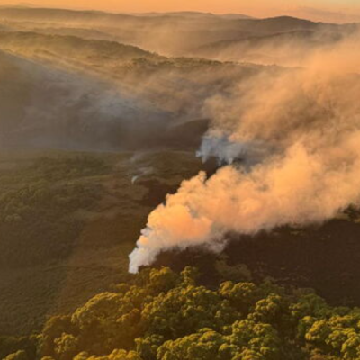 Wildfires Engulf Aberdare and Mount Kenya Forests as Conservation Teams Battle Multiple Blazes