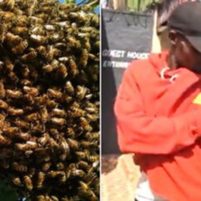 Panic in Limuru Market as Swarm of Bees Causes Chaos and Injuries