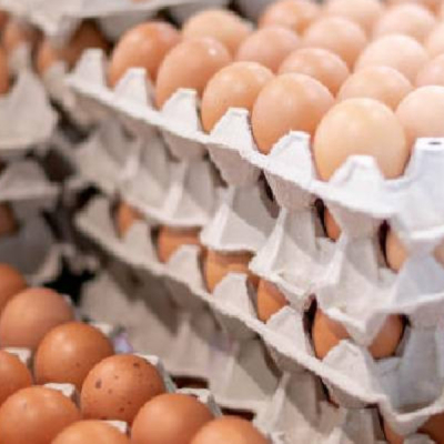 Eggs Kenya Moves to Scrap Excise Duties on Imported Eggs, Onions, and Potatoes