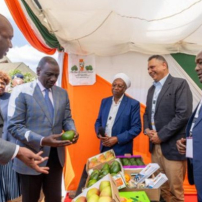 Murang’a County to Establish Export Processing Zone to Attract Investors