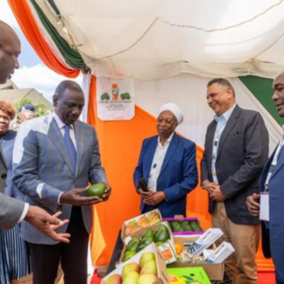 Murang’a Tycoons Finally Channel Wealth Home After Years of Silence