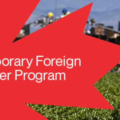 Canada Temporary Foreign Worker (TFW) Programme Canada’s Temporary Foreign Worker Program Faces Permanent Shutdown
