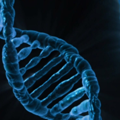 DNA  Claims of Fake DNA and Birth Certificate Fuel Nairobi Custody Fight