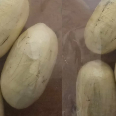 Cocaine Pellets Kenyan Women Face Global Shame Over Rising Drug Trafficking Arrests