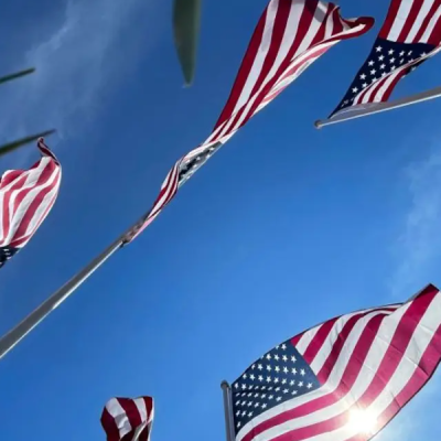 American Flags  US Authorities Target OPT Employers Over Suspected Visa Fraud