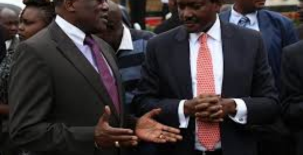 Wiper Party Doesn't Belong to You, Muthama Tells Kalonzo