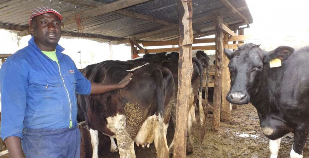 US Firm to Give Kenyans Access to Online Agricultural Data