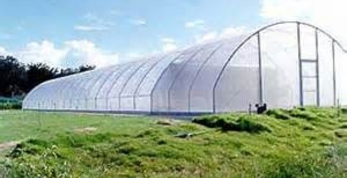 Property Firm Accused of Using Radio Presenter to Swindle Millions from Kenyans