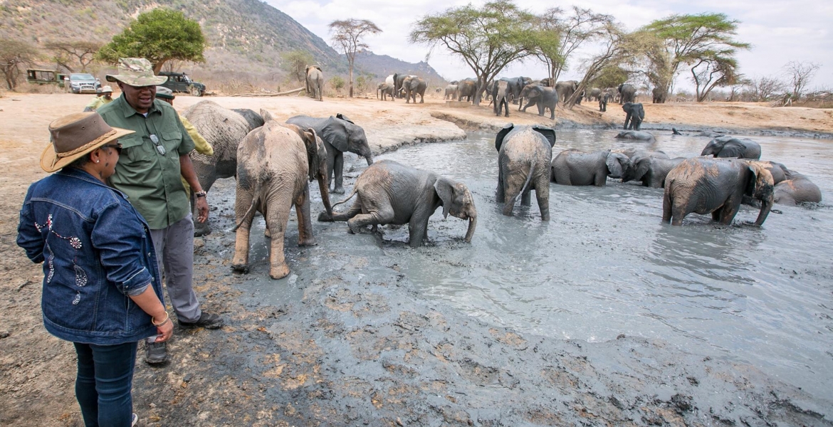 President Uhuru Takes On a Safari Ahead of Supreme Court Election Petition Ruling