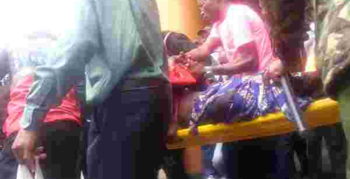 Bees Force Police, Protesters Outside the Supreme Court to Scamper for Safety