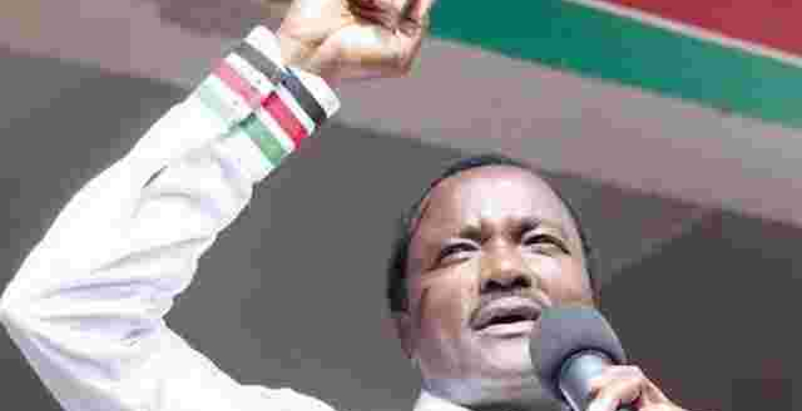 Raila Won't Be on the Ballot in 2022, Kalonzo Musyoka Assures Supporters