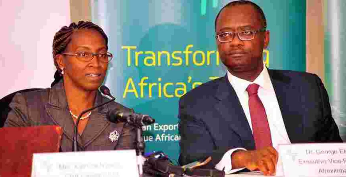 Afreximbank Courts Kenya's High Net Worth Individuals with Sh31 Billion Shareholding Deal