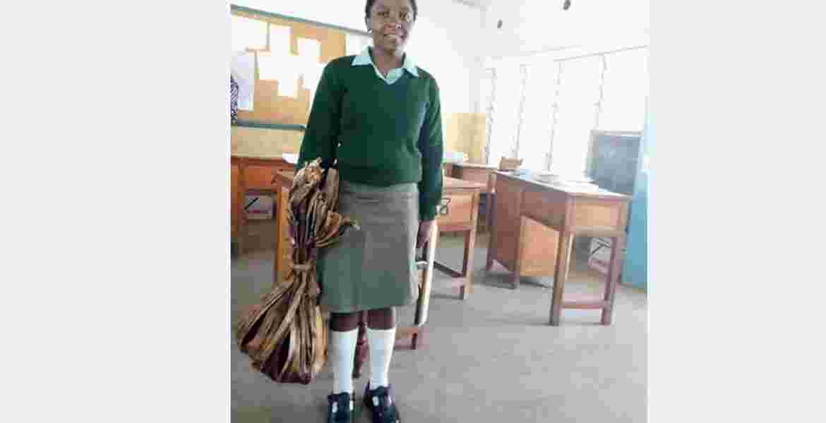 Form three Student Hilda Bundi Appointed Environment Ambassador after Her Banana Leaves Shopping Bag Went Viral on Internet