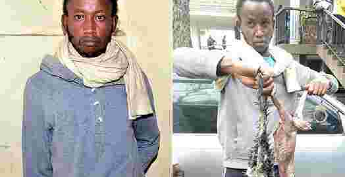 Nairobi Man Arrested for Selling Samosas Made from Cat Meat