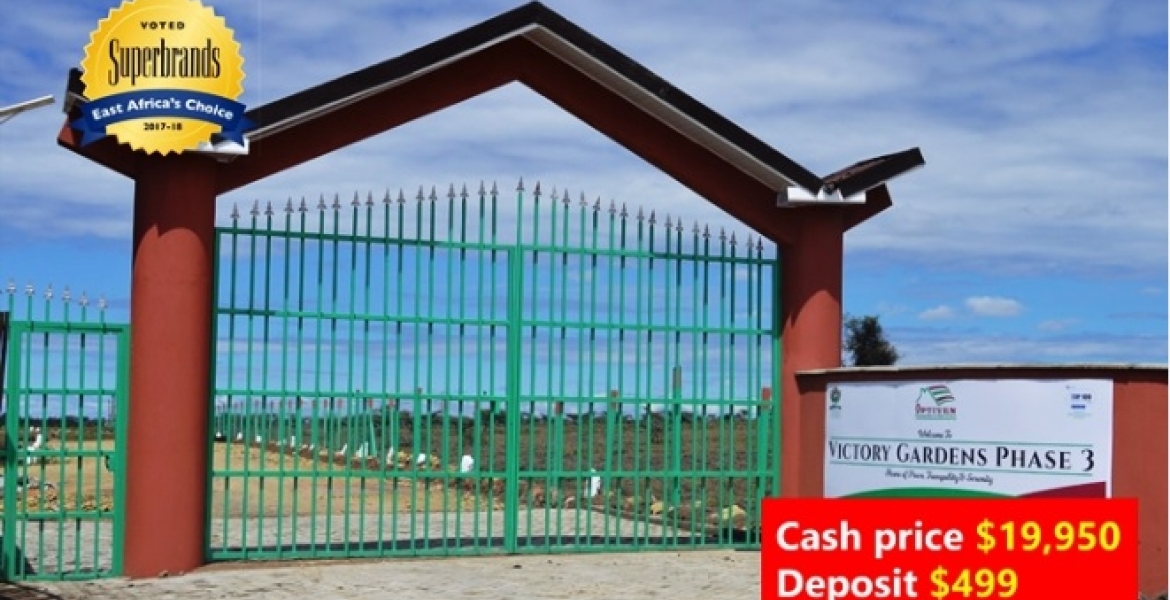 Optiven Real Estate on a Month-Long Tour of the USA: Meet with them for Investment Opportunities Back Home