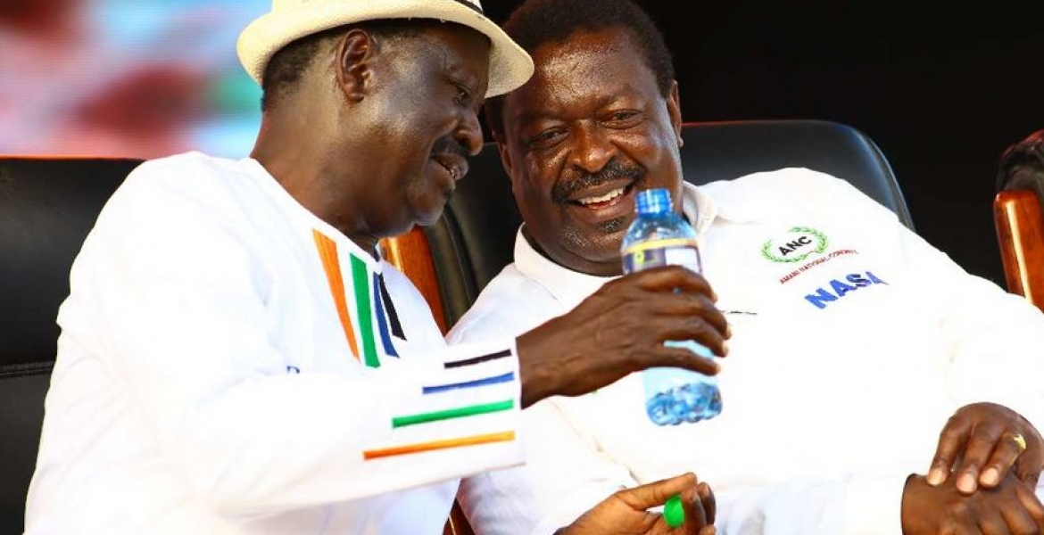 NASA Roots for Bomas Draft of the Constitution
