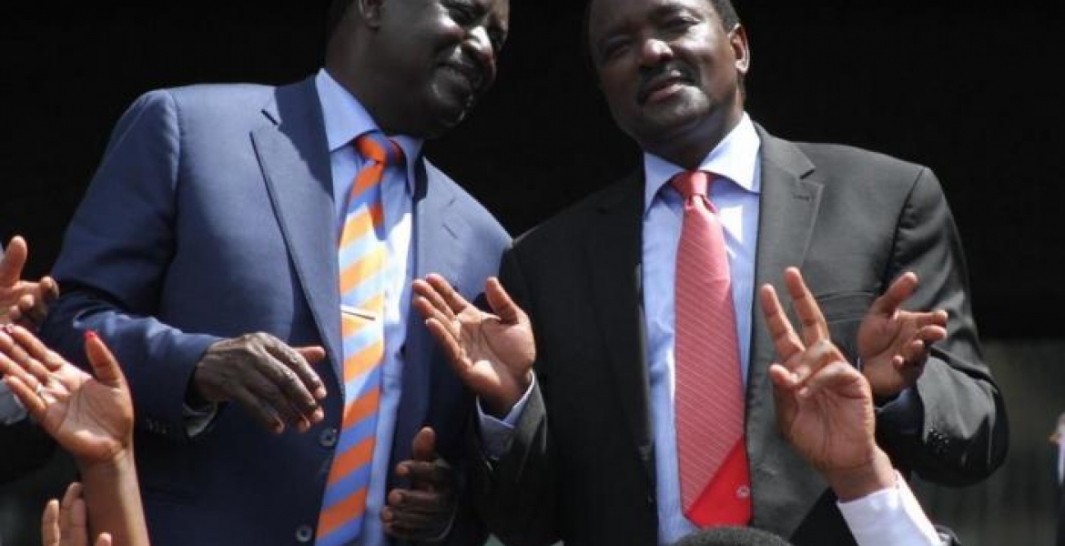 NASA Says Kalonzo Could  Be 'Sworn in' as Deputy President in Germany
