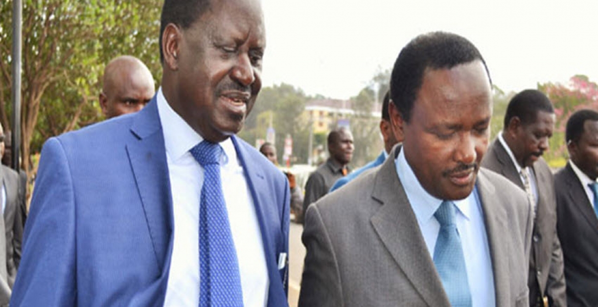 Jubilee MPs Warn Raila, Kalonzo against Planned 'Swearing-in'