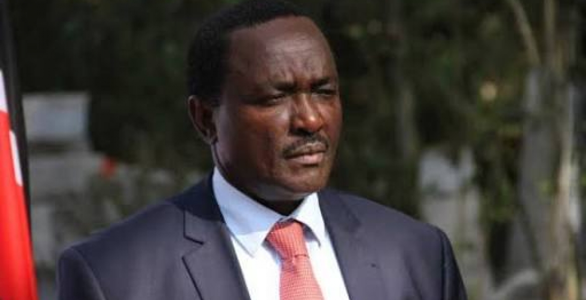 ODM Leaders Mount Pressure On Kalonzo to Take Oath