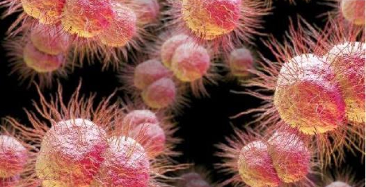 Man Contracts 'World Worst' Super-Gonorrhea