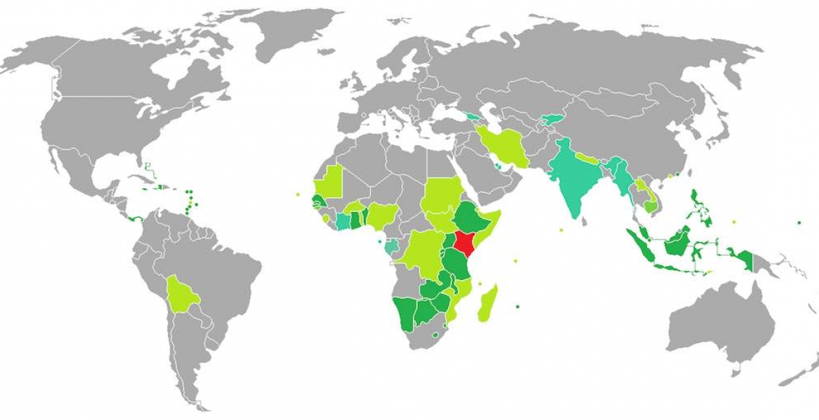 Countries Kenyans Can Visit without a Visa