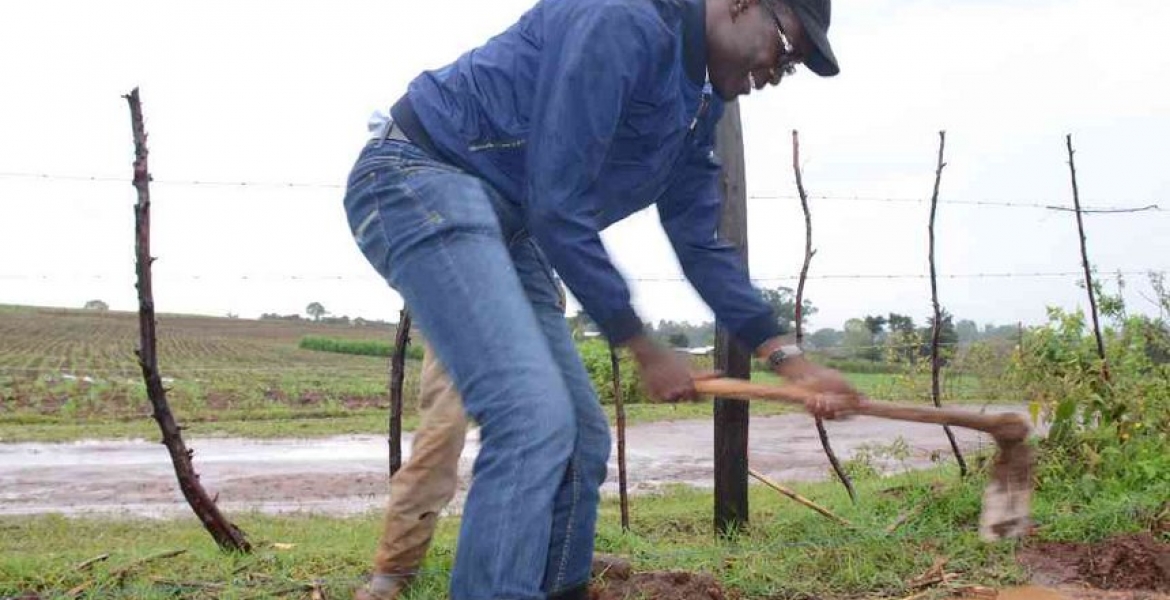 Suspended IEBC CEO Ezra Chiloba Finds Peace in Farming, Says He's Tired of 'Noises Out there'
