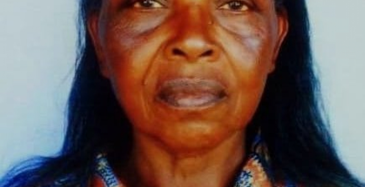 Kenyan Woman Julia Wanjiru Kimotho Dies at Chicago Airport While in Transit to Visit Ailing Daughter in-Law