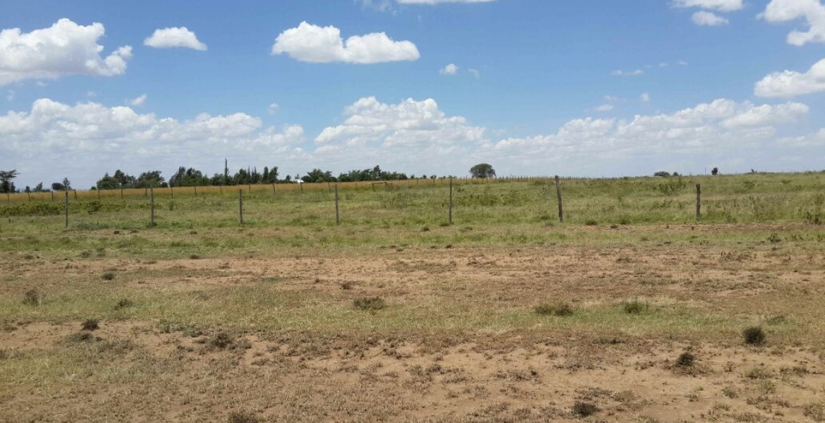 Gov't to Impose Taxes on Idle Land in Kenya