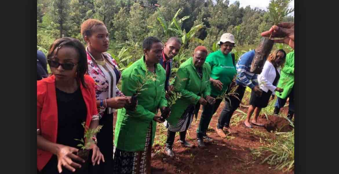 Kenyans Online Roast Murang'a Woman Rep Sabina Chege over Her 'Ask your Mother' Response to a Twitter User