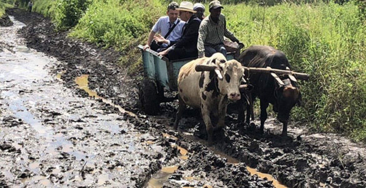 Ireland Envoy to Kenya Vincent O’Neill Wows Kenyans after Riding Ox-Drawn Mkokoteni to a Makueni School