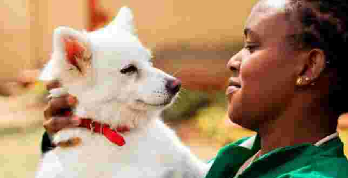 Wealthy Kenyans Splashing Up to $2,500 Per Year to Insure their Pets