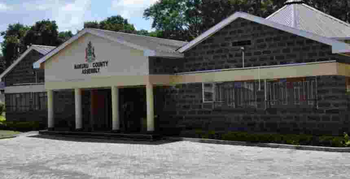 Drama at Nakuru County Assembly as Two Female MCAs Exchange Blows over a Boyfriend