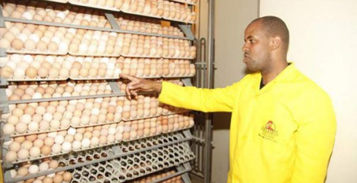 Meet Tony Kiragu, a Kenyan Who Has Built a Sh20 Million Agri-Business after Ditching Lucrative Job in the US