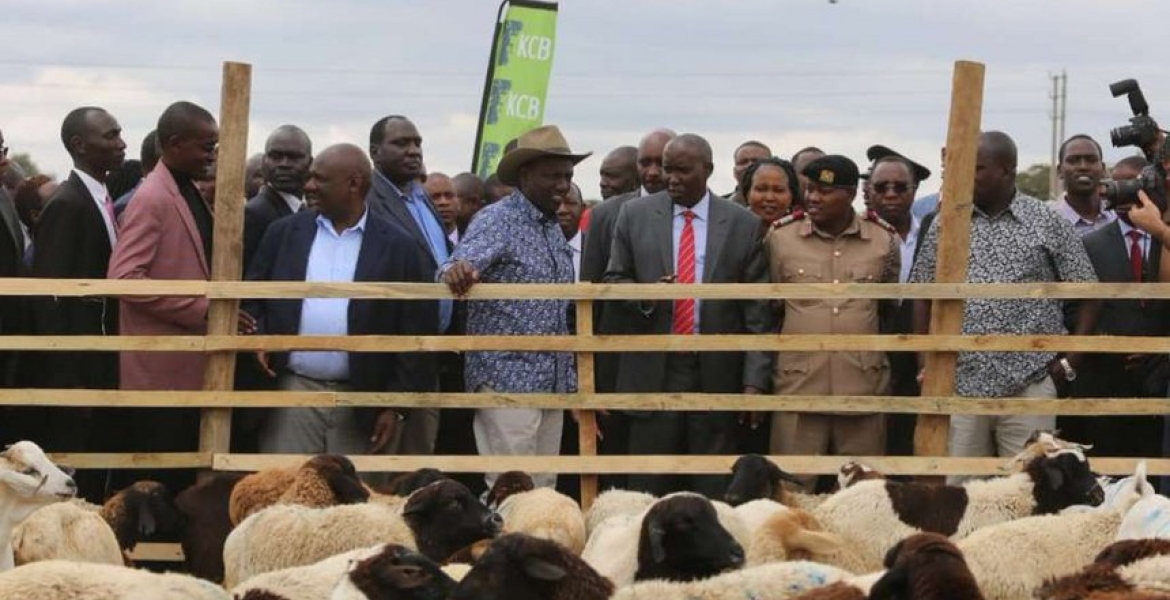 DP William Ruto Carries Sh10 Million in a Bag to Kajiado Goat Auction
